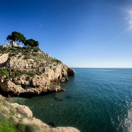 La Plumaria De Malaga La Cala Del Moral